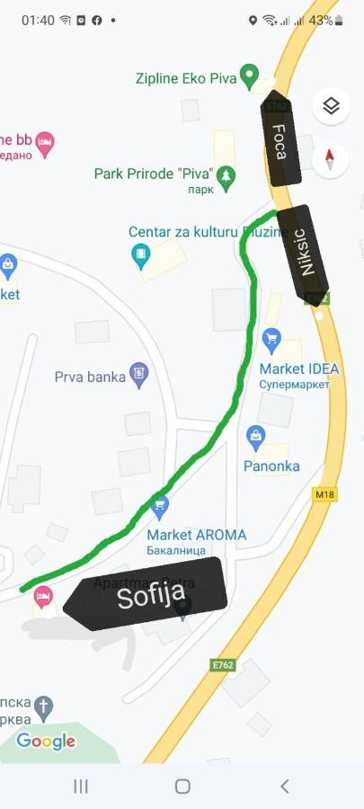 Sofija * Plužine